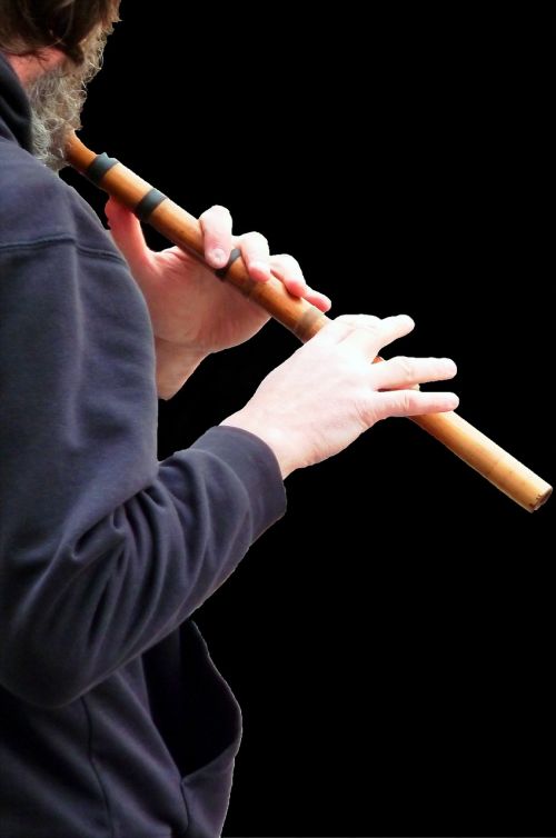 flute flute game flautist