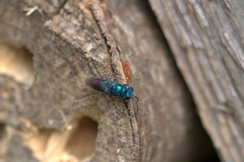 fly colorful lights up