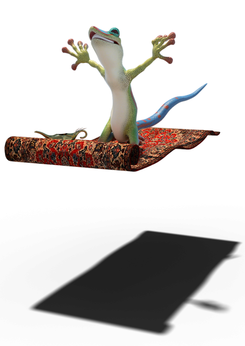 fly carpet gecko