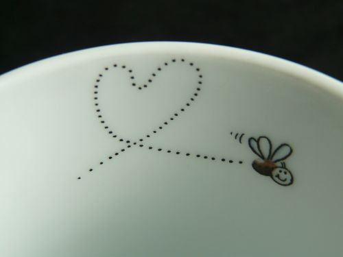 fly mosquito heart