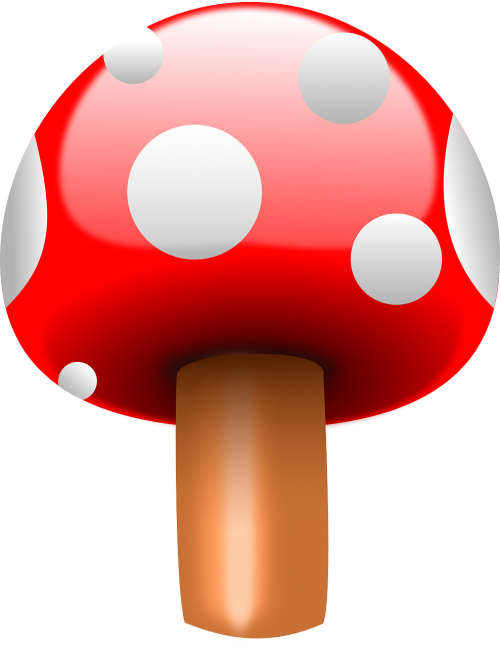 fly agaric mushroom red