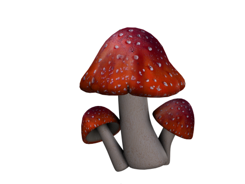 fly agaric mushrooms fantasy