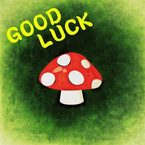 fly agaric luck greeting card