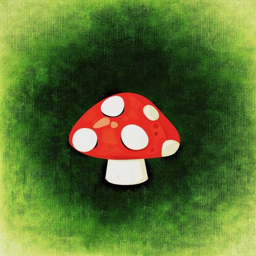 fly agaric luck greeting card