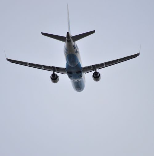 flybe flight plane