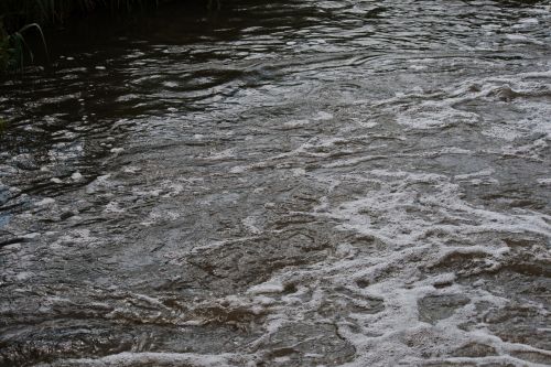 Foam Floating On Fast Flowing Water