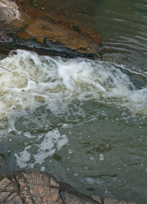 Foamy Water In A Stream