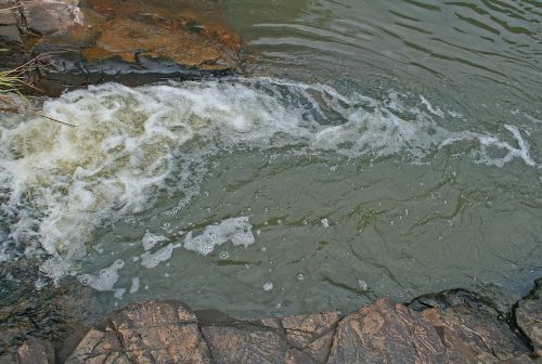 Foamy Water In Stream