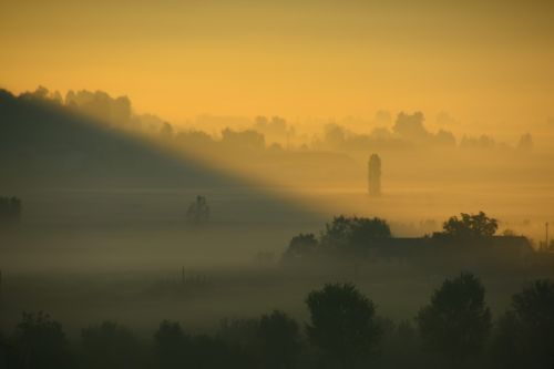 fog morning sun back light