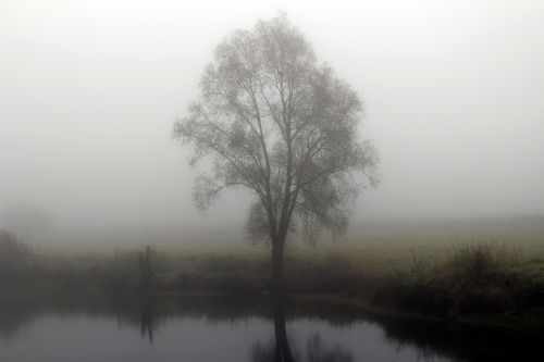 fog autumn riverside