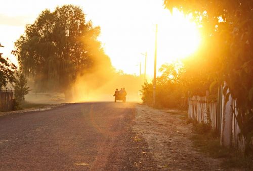 fog cart sunset