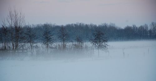 fog landscape winter