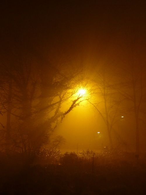 fog night light