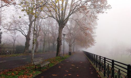 fog park autumn
