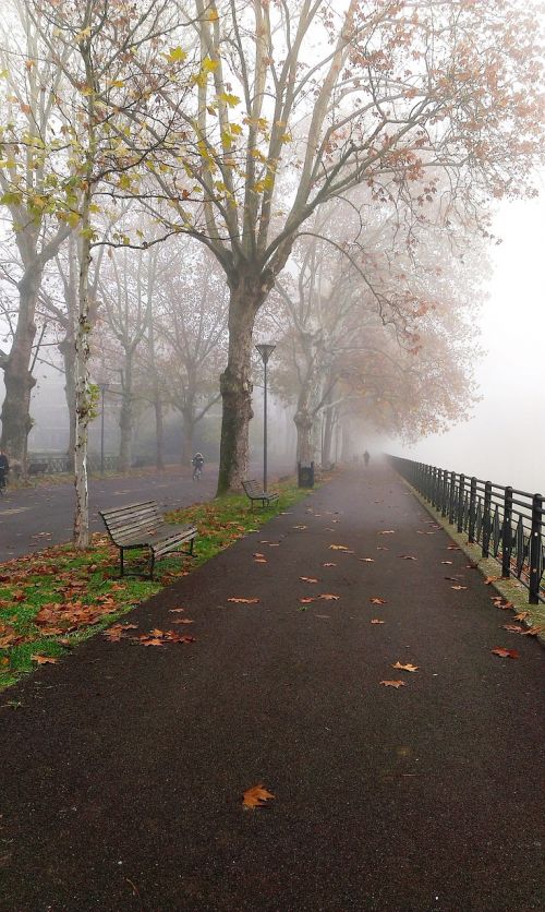 fog park autumn