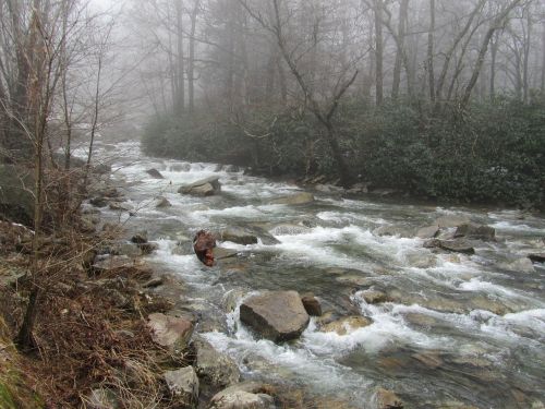 fog creek nature