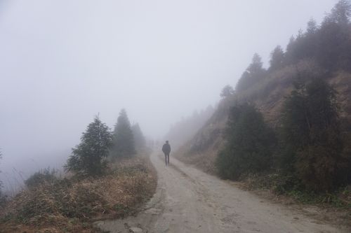 fog figure lane