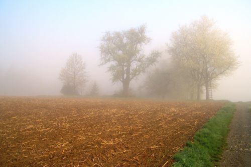 fog landscape mood