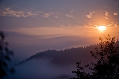 fog landscape sunrise