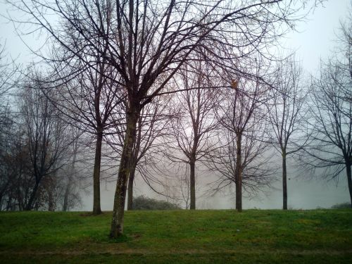 fog mist moisture