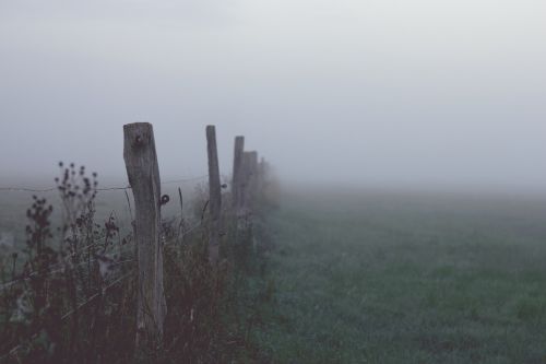 fog dawn landscape