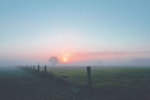 fog dawn landscape