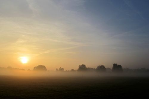 fog veil mystical