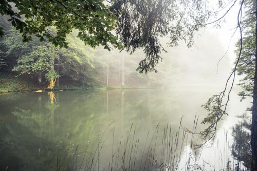 fog lake water