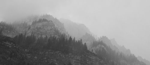 fog mountains trees