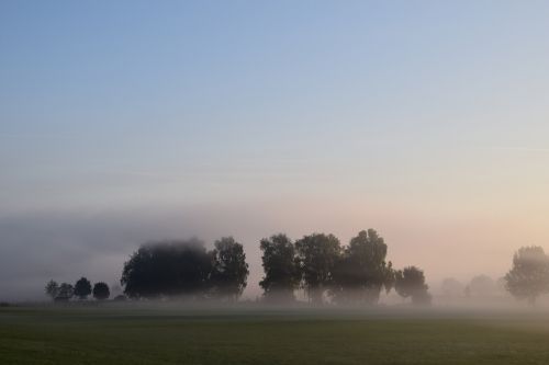 fog landscape nature