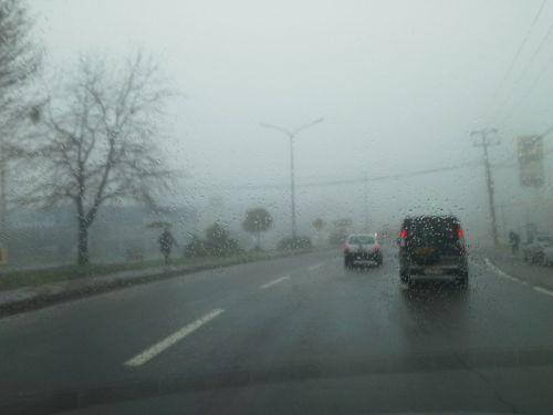 fog rent a car road