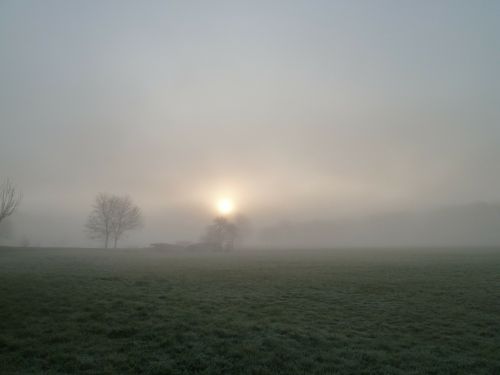 fog autumn nature