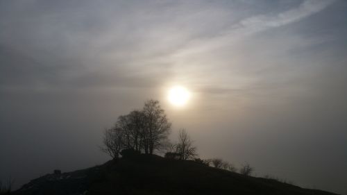 fog sun nature photography