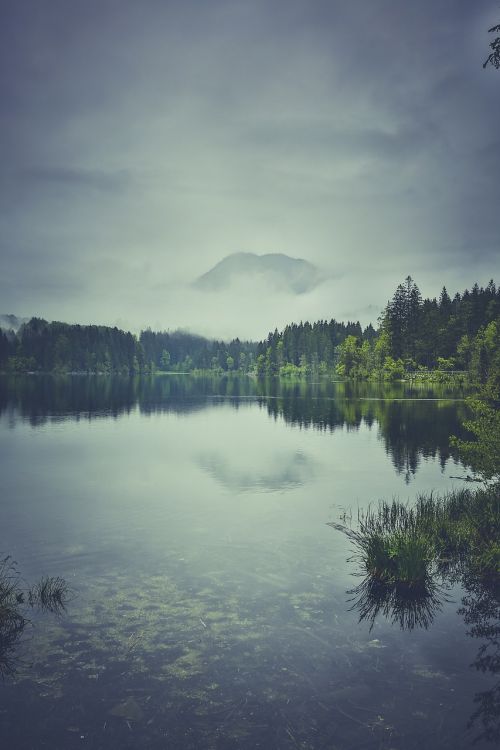 fog lake landscape