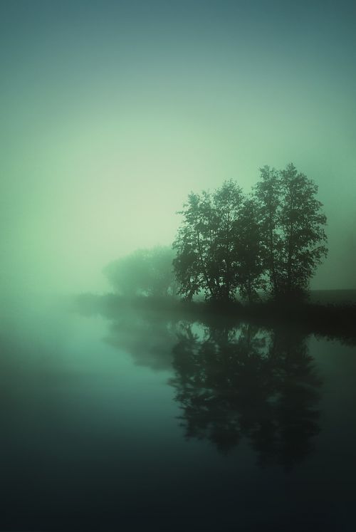 fog lake water