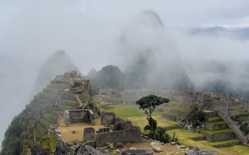 fog hill landscape