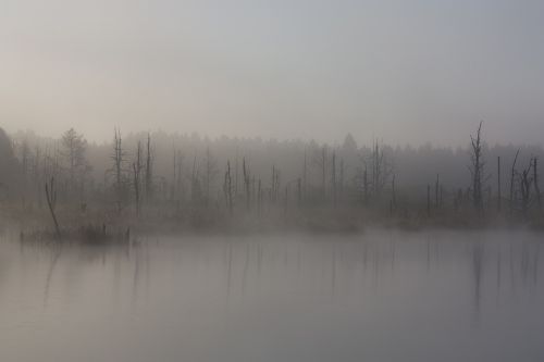 fog moor autumn