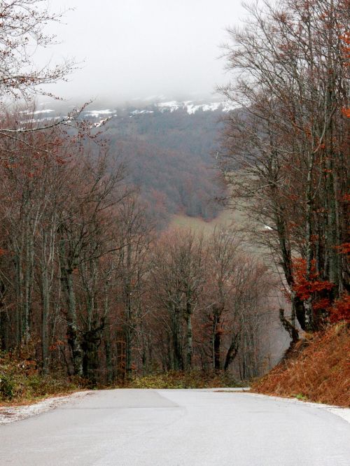 fog mountain autumn