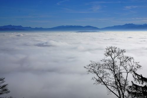 fog sky nature