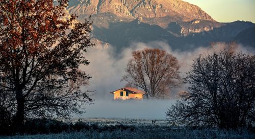 fog house forest