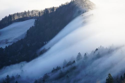 fog nebellandschaft wave of fog
