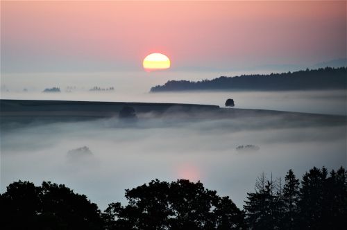 fog landscape dusk