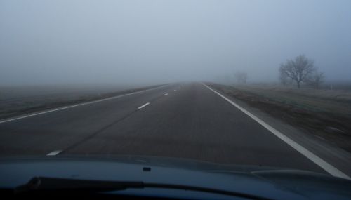fog road motion