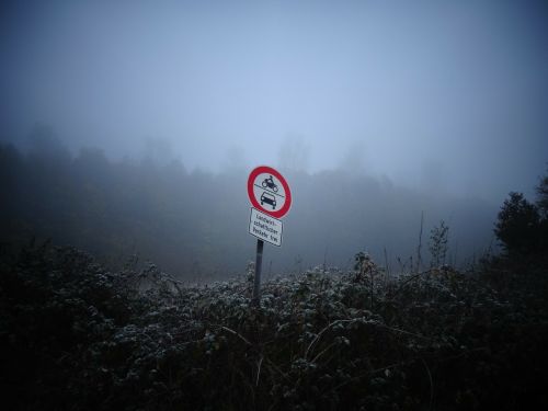 fog nature shield