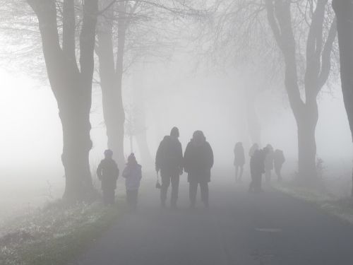 fog human avenue