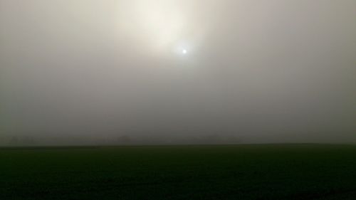 fog field sun
