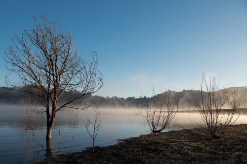 fog lake calm