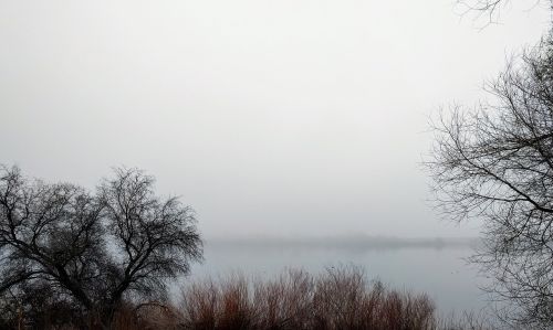 fog mist winter
