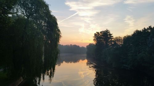 fog morning sun