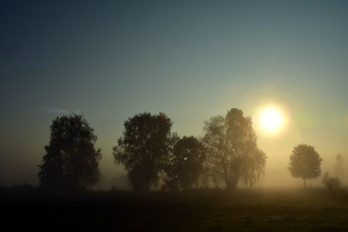 fog landscape nature